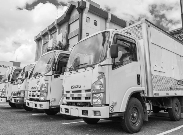 Sistema de gestión desarrollado para Transportes Flores Vargas